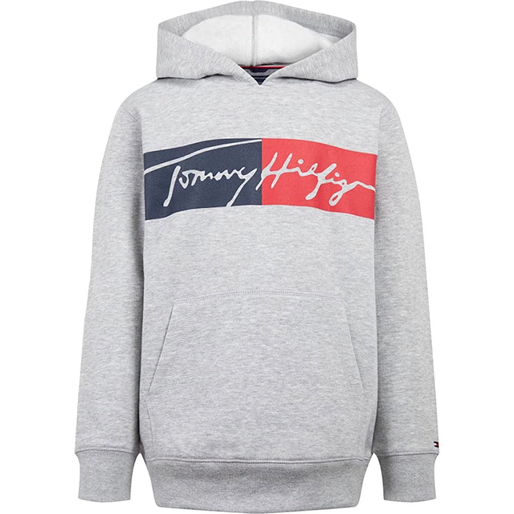 Poleron Tommy Hilfiger Niño con Capucha Gris y Logo - Cozy Kids