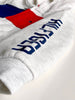 Buzo Tommy Hilfiger Bebé Niño Gris Logo Rojo y Azul